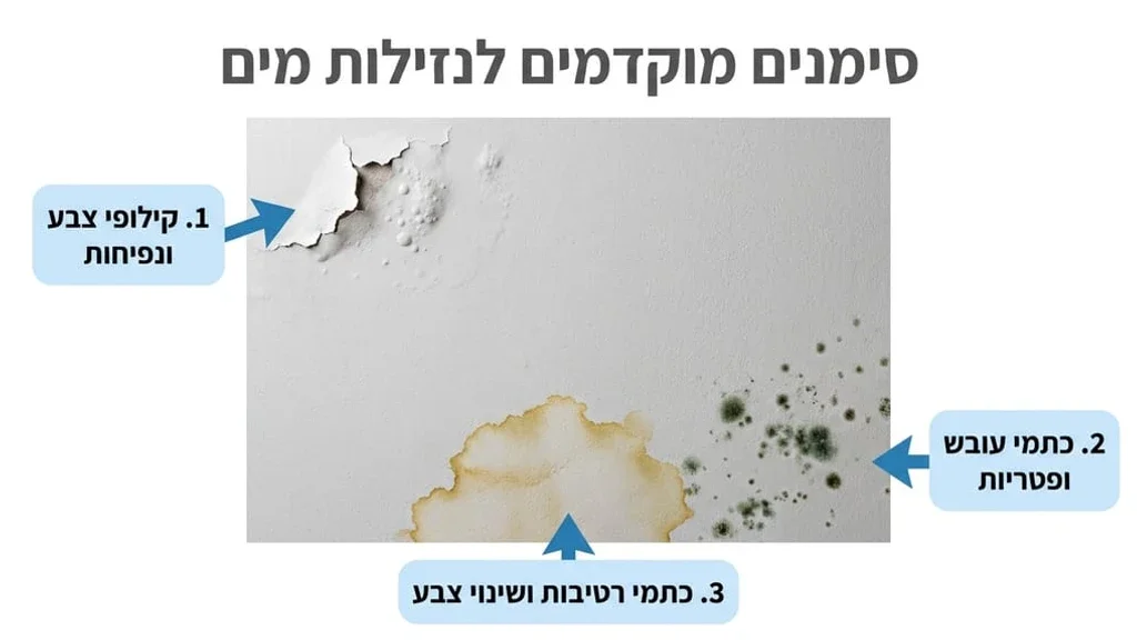 כתמי רטיבות ועובש על קיר פנימי
